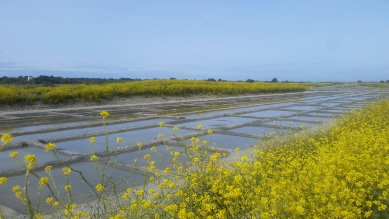 拉考德索梅La Passerose 3 Pieces Avec Jardin Au Calme,A 300M De La Plage,住宿加早餐旅馆 外观 照片