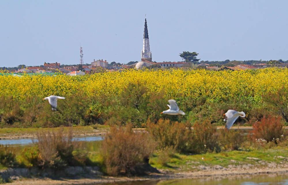 拉考德索梅La Passerose 3 Pieces Avec Jardin Au Calme,A 300M De La Plage,住宿加早餐旅馆 外观 照片